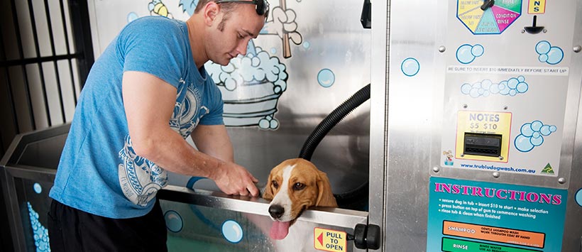 dogwash